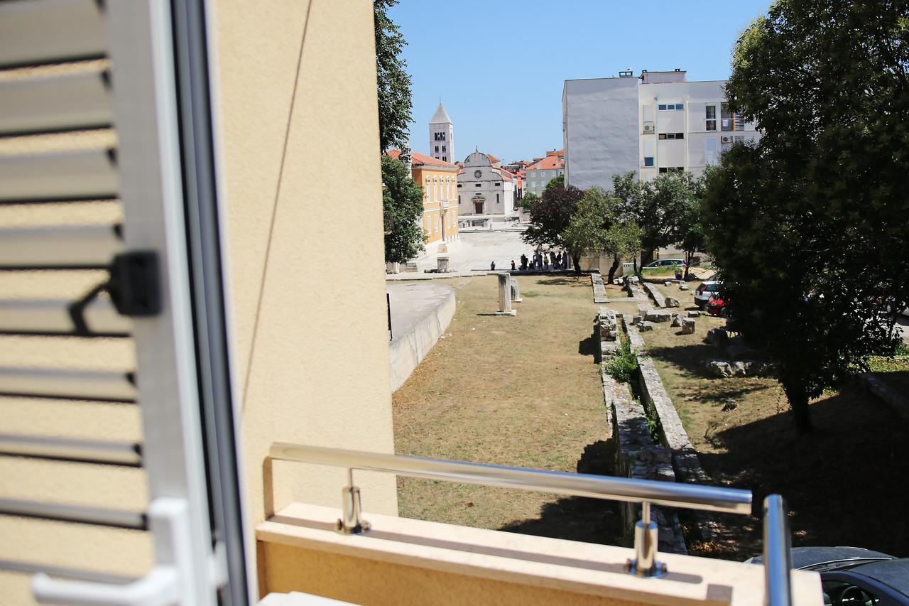 & Andrea Zadar